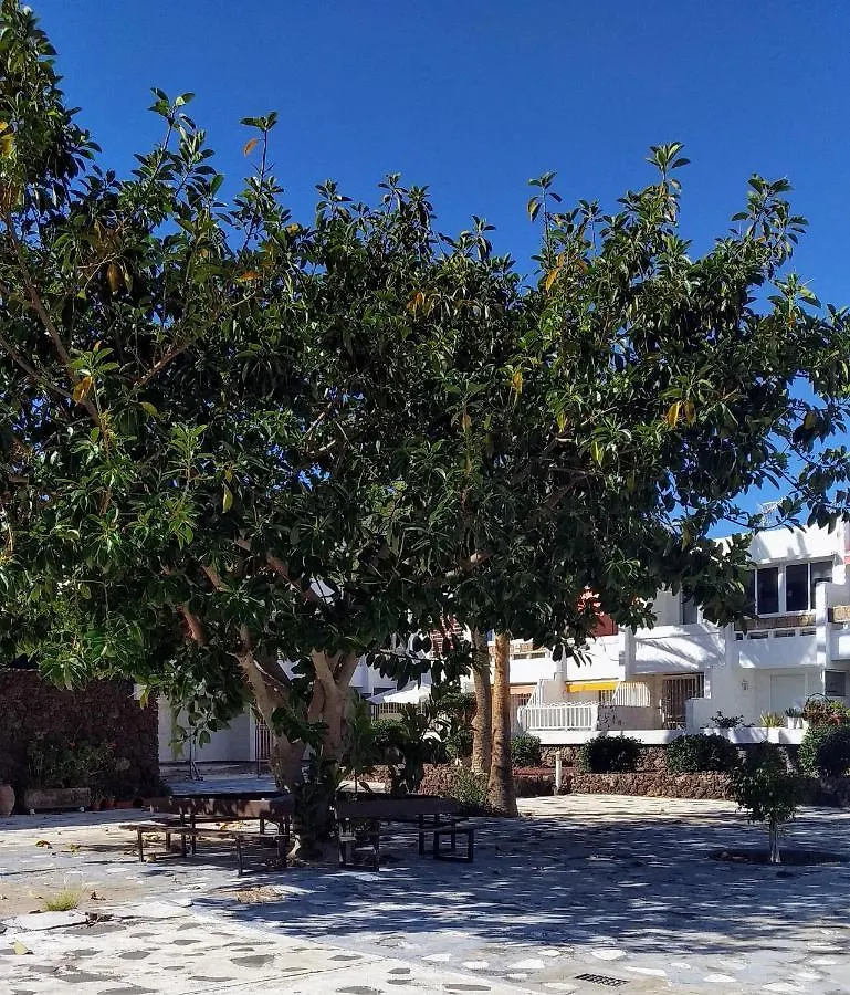 Oasis Marina Apartament Costa Del Silencio 0*,  Spain